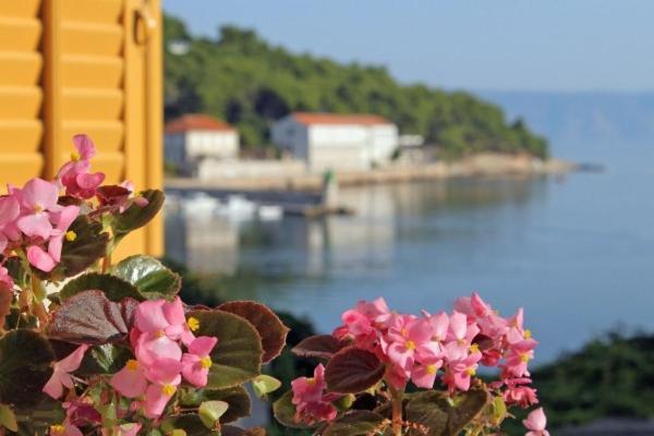 Marga Apartament Jelsa (Hvar)